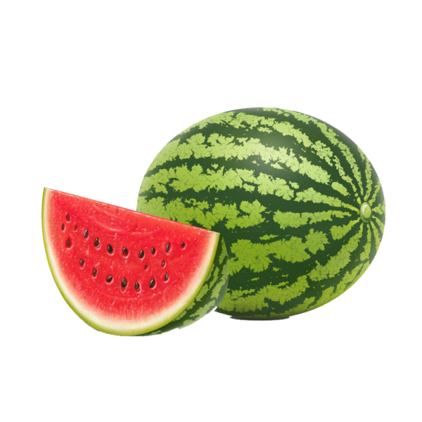 pngwing.com (5)